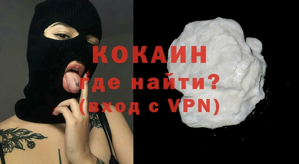 стаф Апатиты