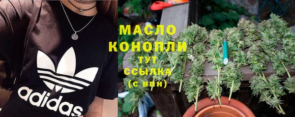 молекула духа Магадан