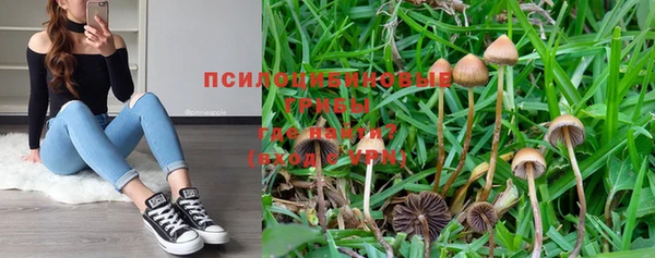 мет Медвежьегорск