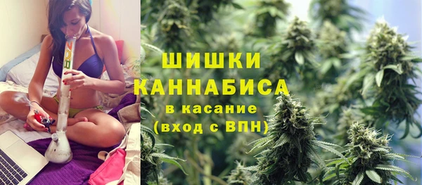 молекула духа Магадан