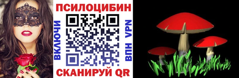 купить  сайты  Березники  Псилоцибиновые грибы Psilocybe 