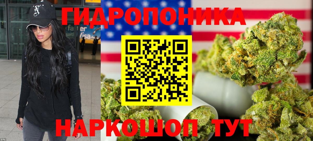 Галлюциногенные грибы Березники